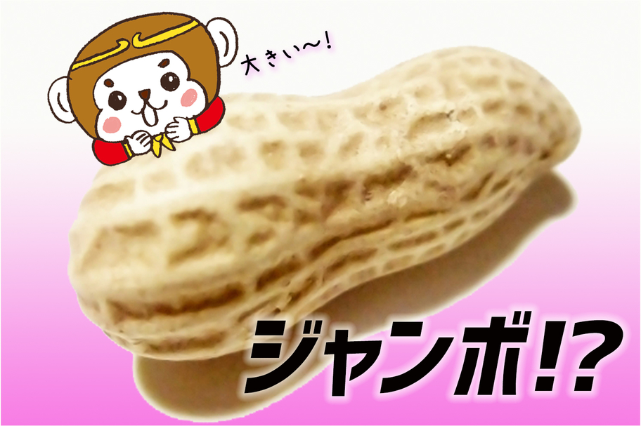 CRバナージャンボピーナツ