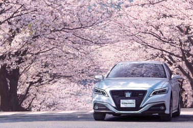 RS Advance(2.5L ハイブリッド車)