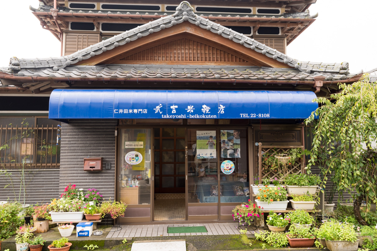 サンプル