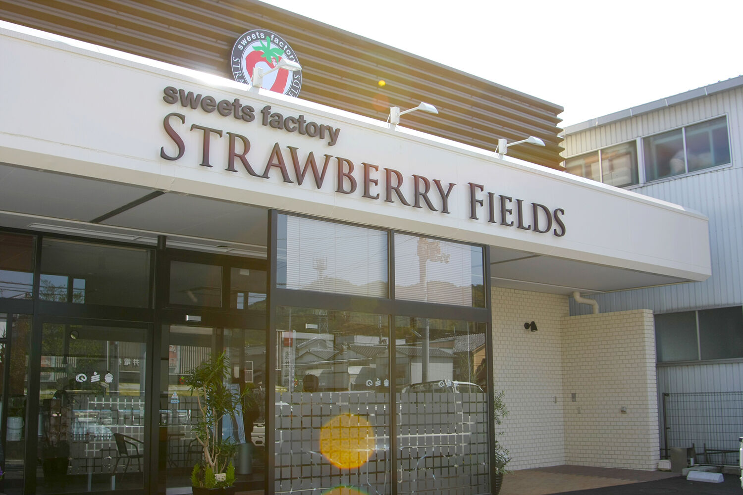 strawberryfields