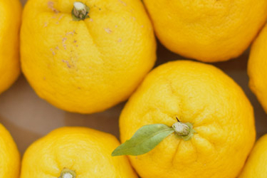 yuzu