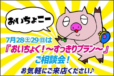 /file/cms/57401/514237/image.jpg
