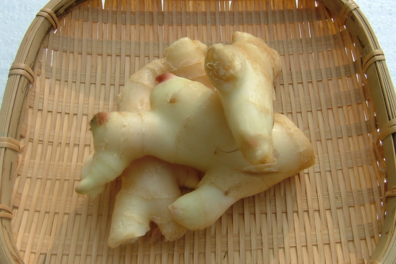 しょうが